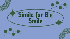 Simile for Big Smile